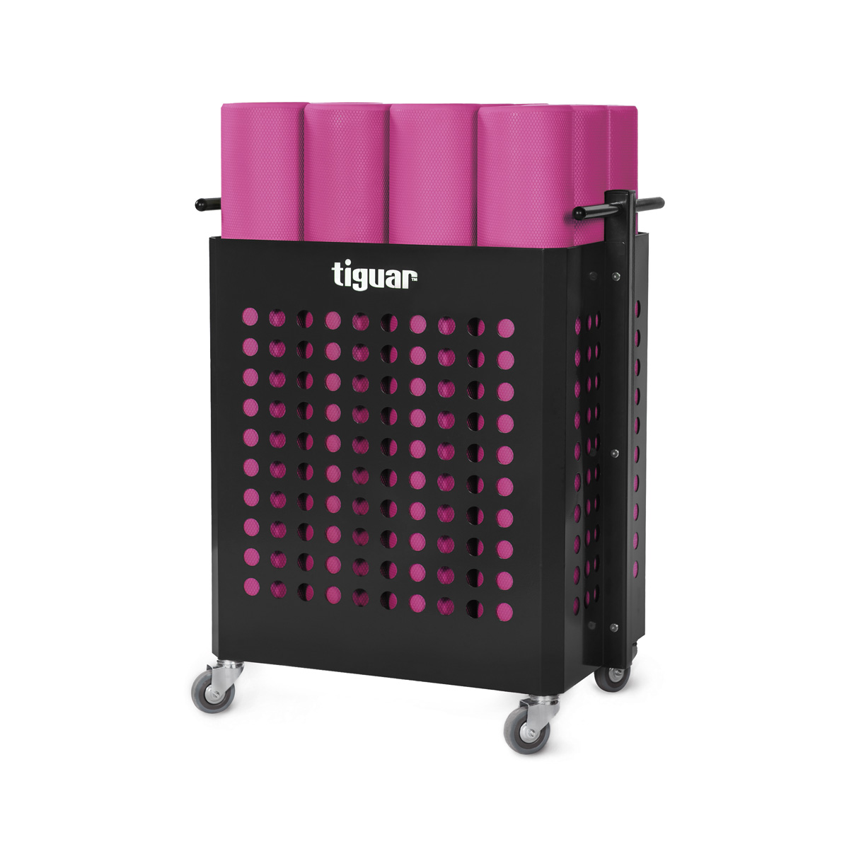 tiguar smart equipment storage unit